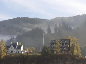 Hotels in Cârlibaba